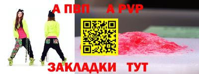 сатива Славгород